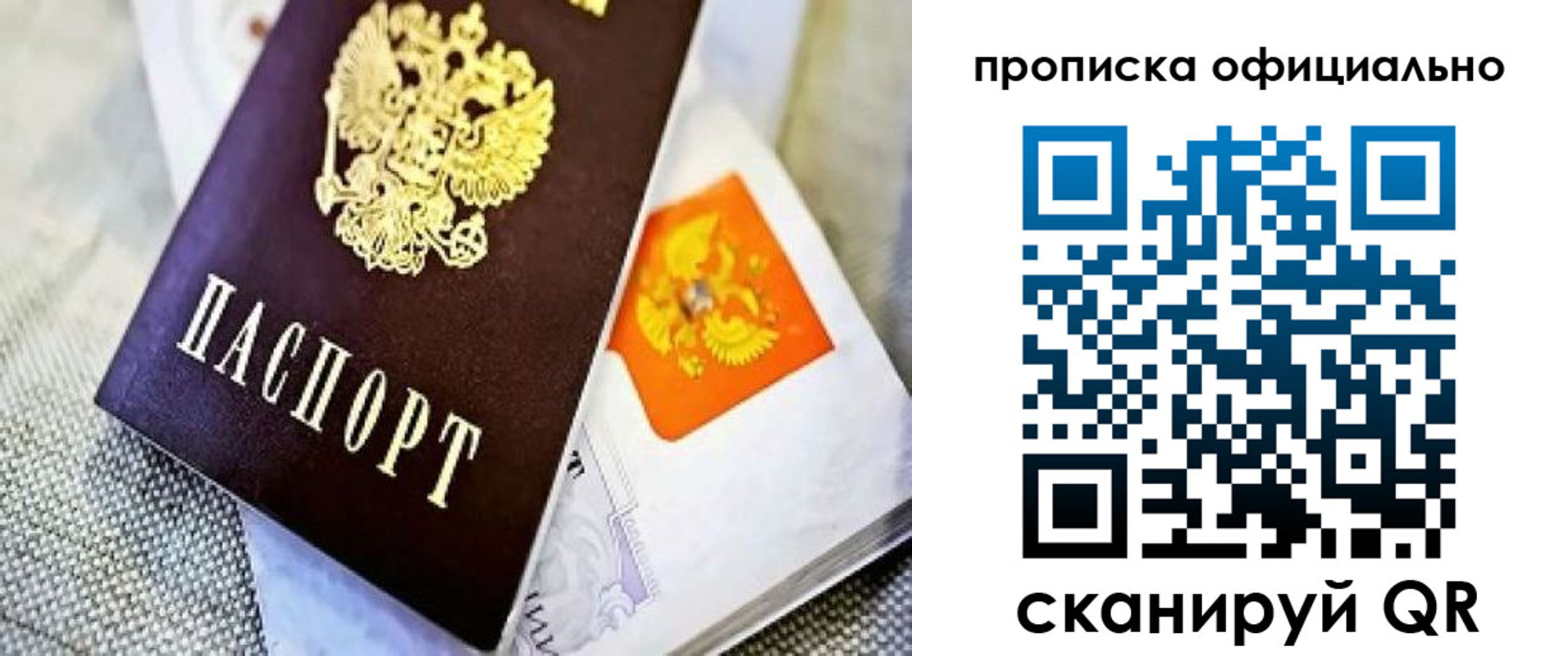 временная регистрация гарантия в Курской области